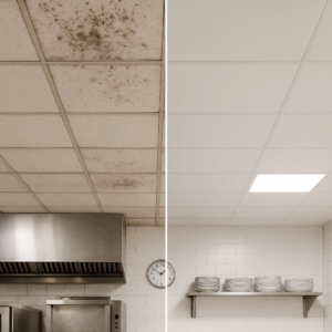 top 5 problems with traditional ceiling tiles—and why vinyl is the solution (2)