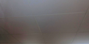 Compliance-focused ceiling solutions for restaurants and food prep areas.