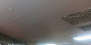 Installer placing heavy-duty, washable ceiling tiles suitable for kitchens, hospitals, and labs.