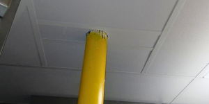 High-quality ceiling tiles being installed correctly to meet building standards.