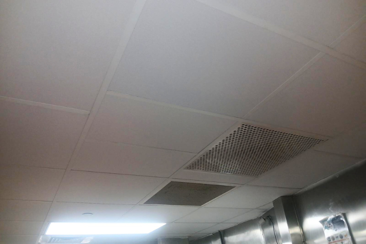 Commercial ceiling tiles with moisture resistance, mold protection, and cleanable surfaces.